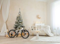 AUTHOR Record 20 2026