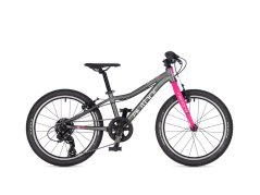 AUTHOR Record 20 2026