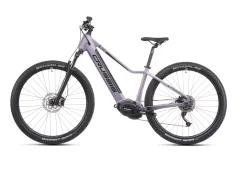 CRUSSIS e-Fionna 7.11-(513 Wh)