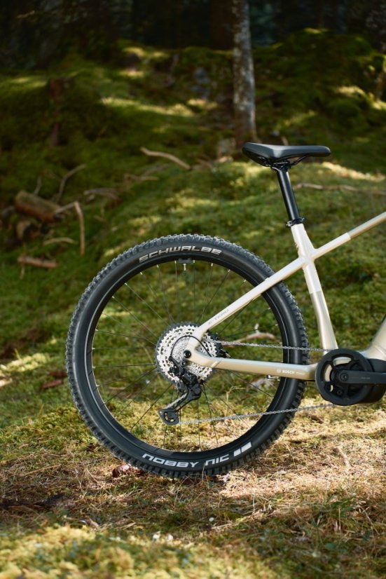 GHOST E-Teru Pro Dusty Trail/Dusty Green (2025)