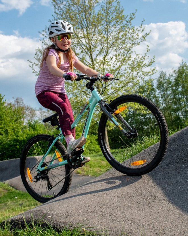 AUTHOR Limit 24 2025 - Barva: šedá/limeta/zelená, Velikost: 12,5"