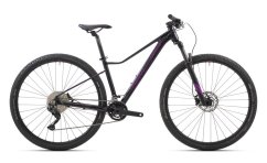 SUPERIOR XC879 W/Gloss Black Rainbow/Purple