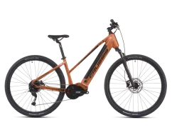 CRUSSIS e-Cross low 7.11-(691 Wh)