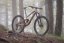 LAPIERRE Zesty CF 7.9 Terracota (2025) - Varianta: S