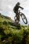 LAPIERRE Zesty CF 6.9 Celadon Green (2025) - Varianta: S