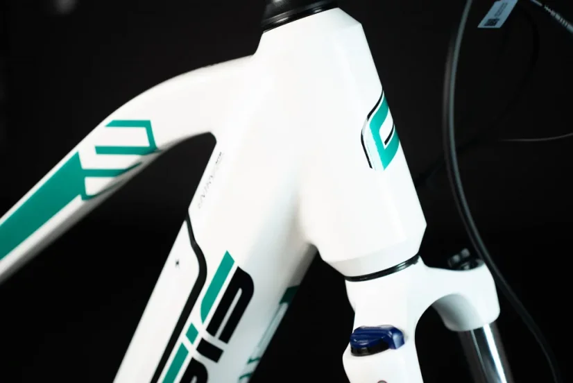 CRUSSIS e-Fionna 5.8 (2023) - Velikost rámu: 17"