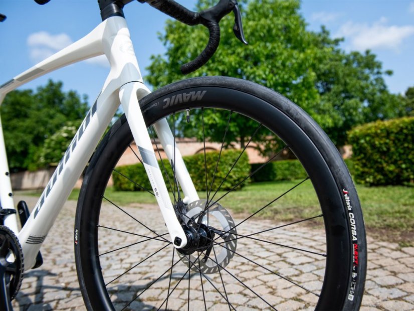 AUTHOR Charisma 66i 2025-26 - Velikost: 50