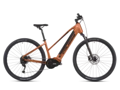 CRUSSIS e-Cross low 7.11-(518 Wh)