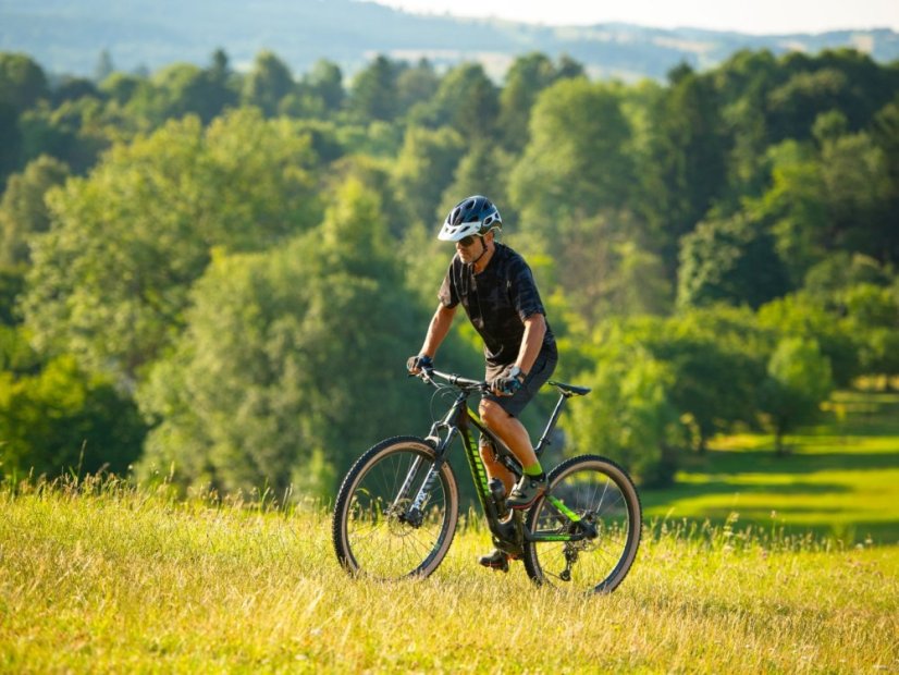 AUTHOR A-Ray 29 Team 2023-24 - Velikost: 21"