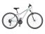 AUTHOR Stratos ASL 2023-24 - Velikost: 19"