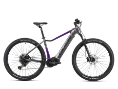 CRUSSIS e-Fionna 9.10-(900 Wh) (2025)