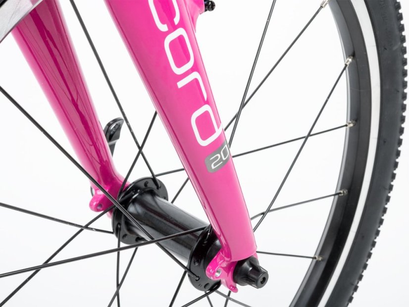 AUTHOR Record 20 2026