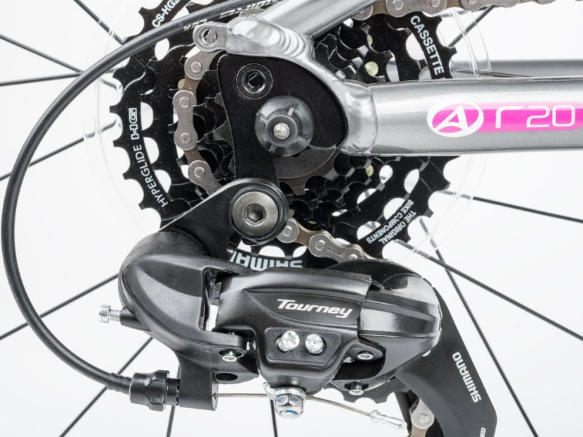 AUTHOR Record 20 2026