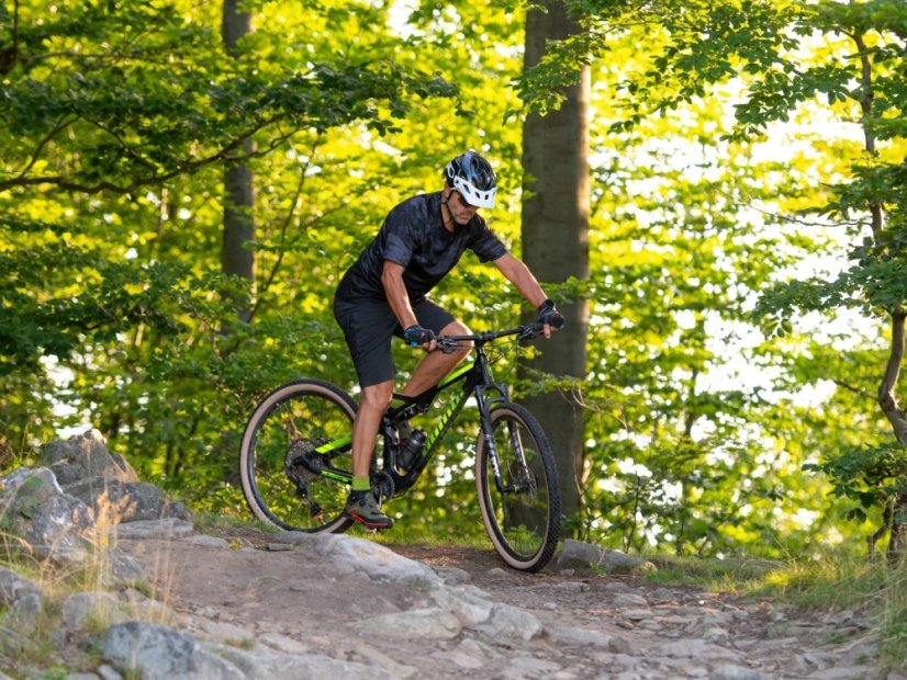 AUTHOR A-Ray 29 Team 2023-24 - Velikost: 21"