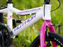 AUTHOR Record 16 2025