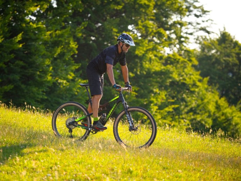 AUTHOR A-Ray 29 Team 2023-24 - Velikost: 21"