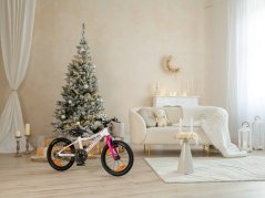 AUTHOR Record 16 2026