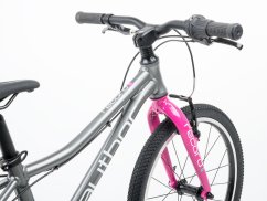 AUTHOR Record 20 2026