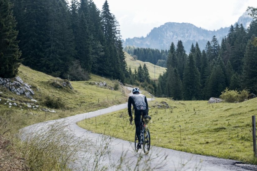 LAPIERRE Pulsium 6.0 AXS Gravity Grey (2025) - Varianta: XS