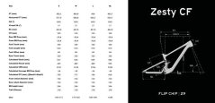 LAPIERRE Zesty CF 8.9 Anthra Grey (2025)